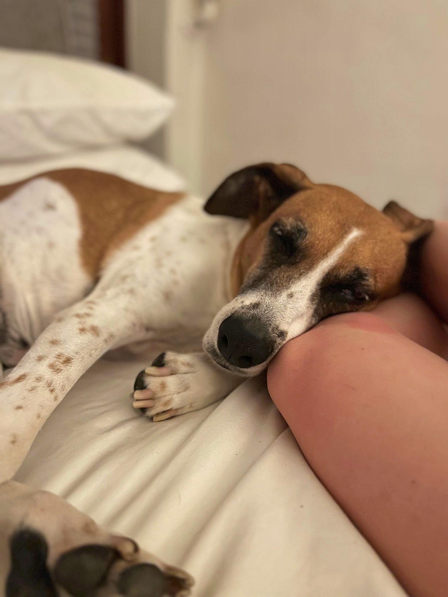 The Wedding Website of Samm Todd and Dan Falco