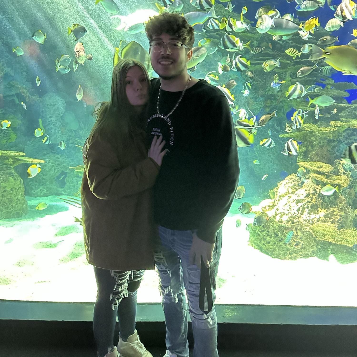 Aquarium in Tennessee!