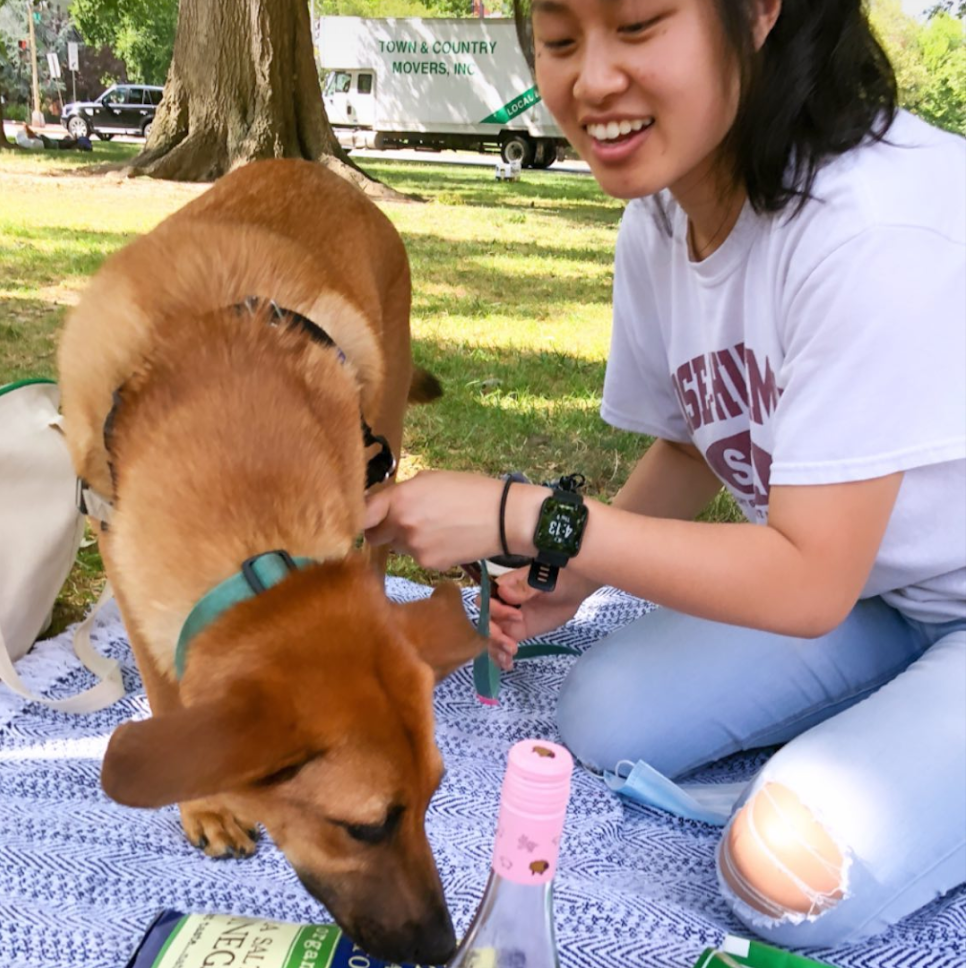 Picnicking on a hot summer day in DC with Karen.