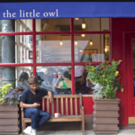 Little Owl