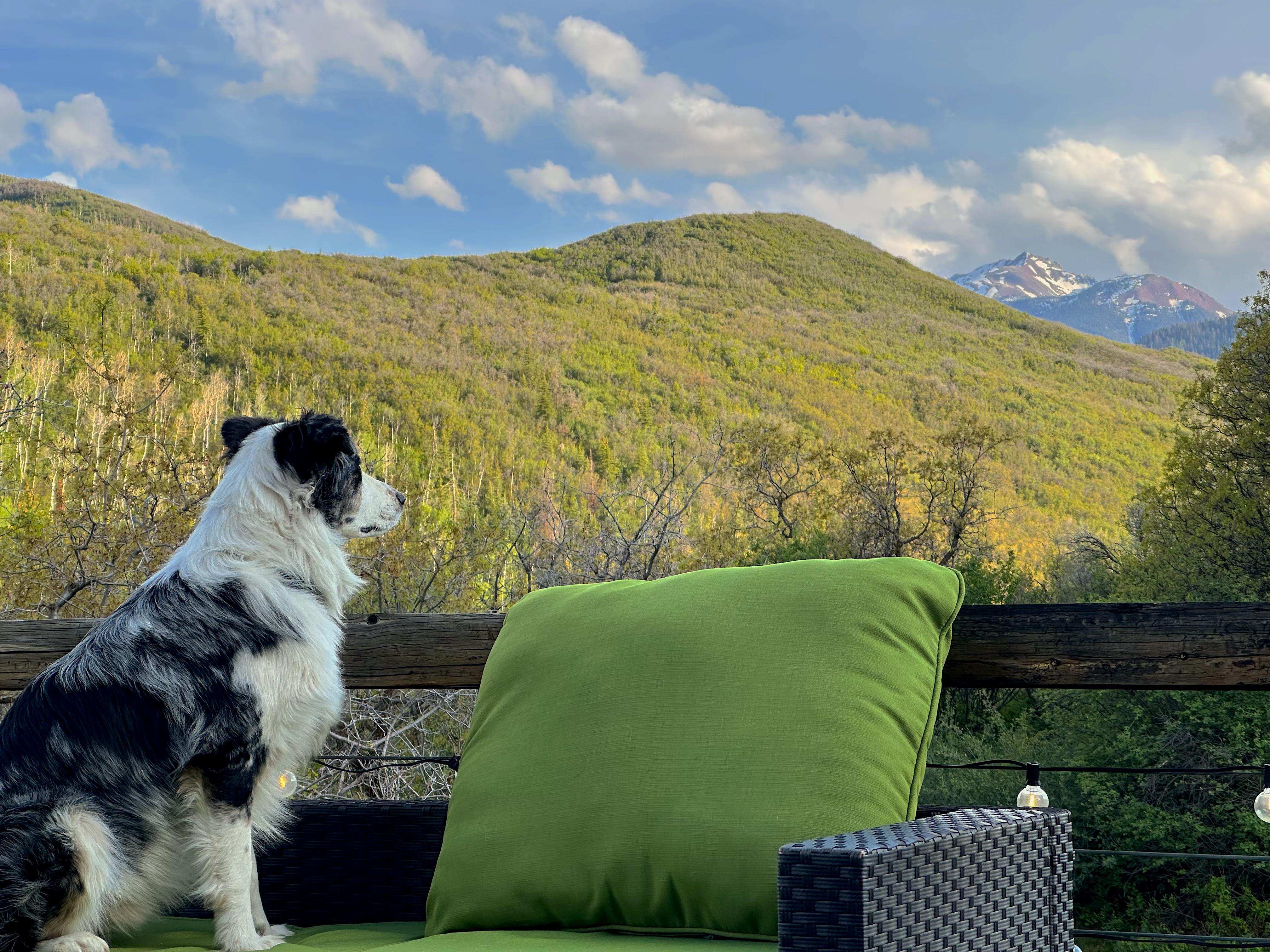 aefab76a-c7ee-4655-830a-11dff235ca9b