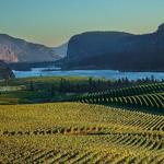 Blue Mountain Vineyard and Cellars