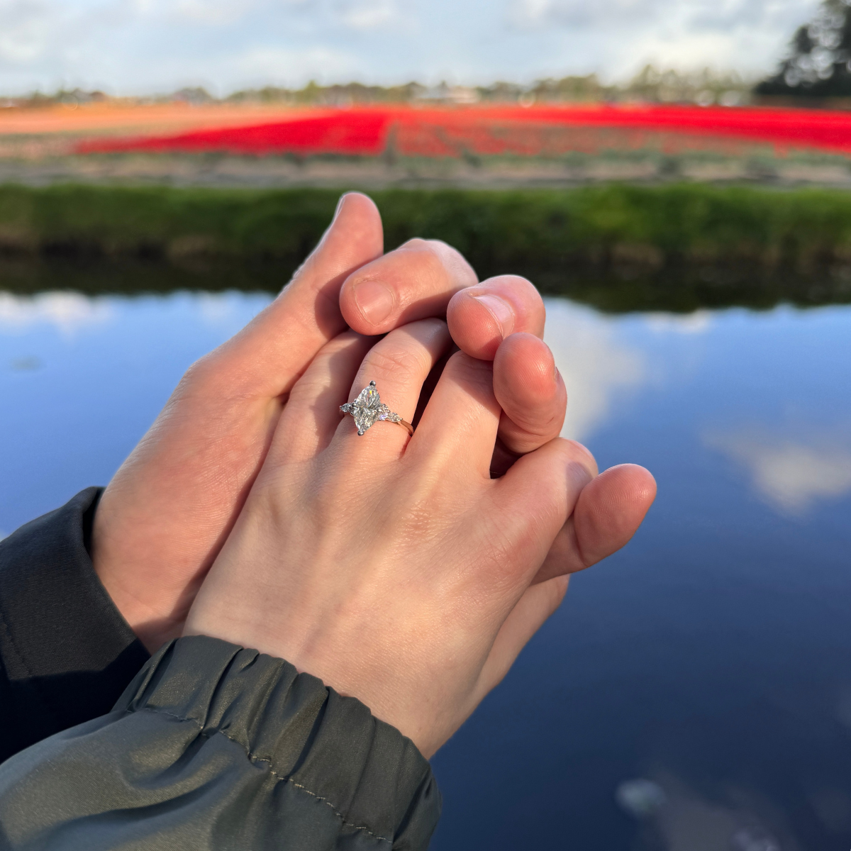Robert proposed in Amsterdam in 2024