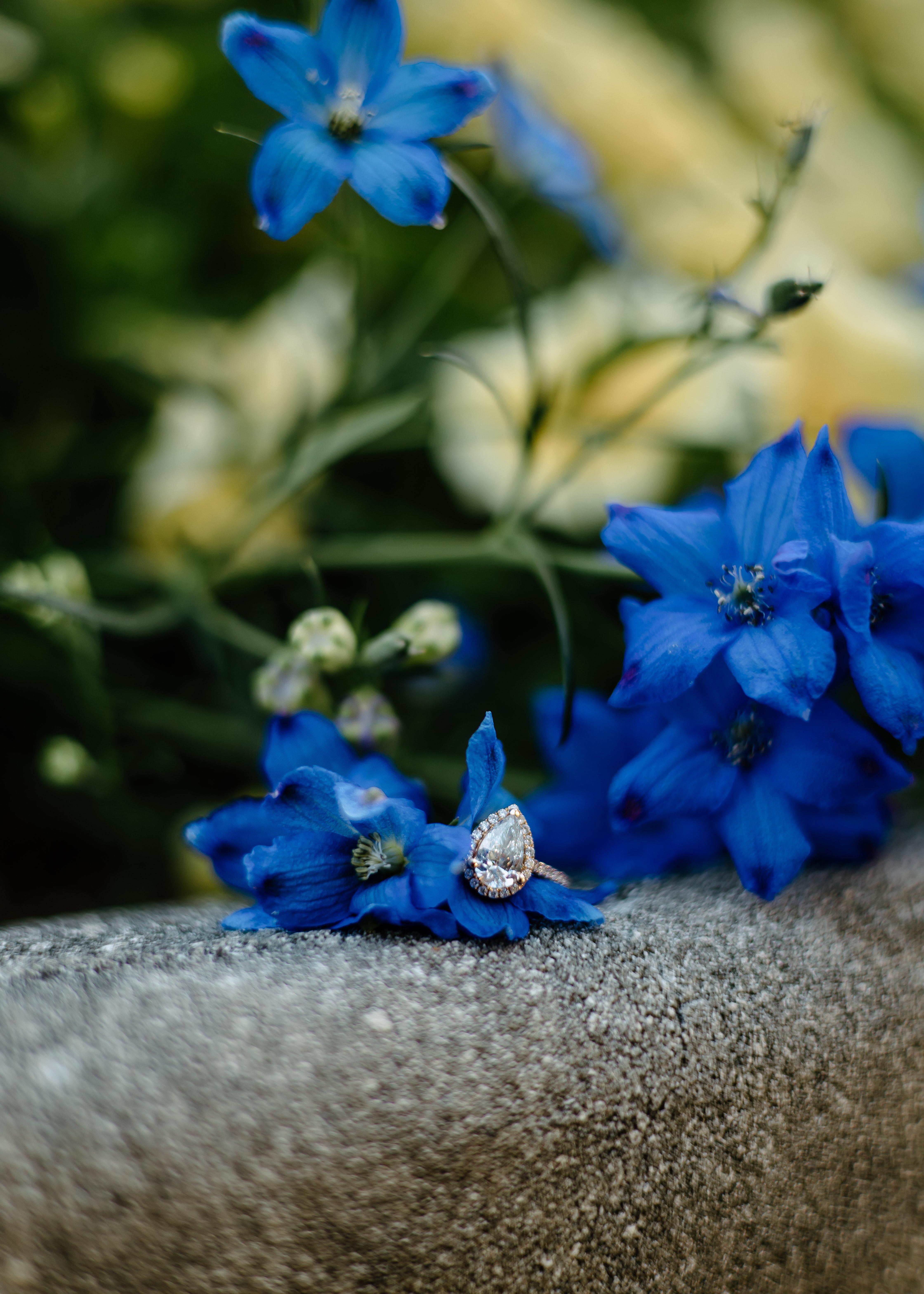 The Wedding Website of Marissa Ricknauth and Jeffrey Evans