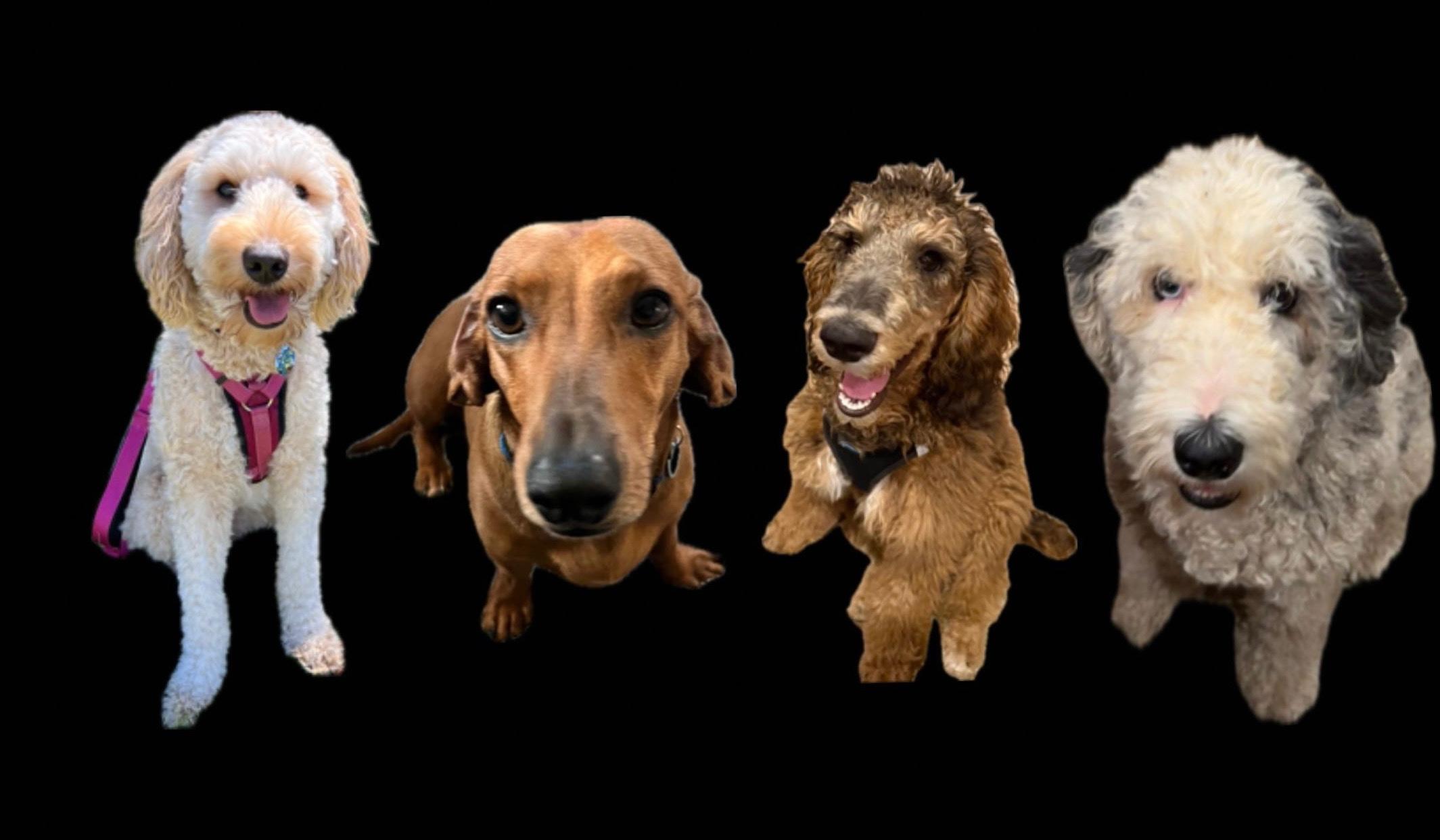 The Wedding Website of Dwight Carlston and Jaime Lee