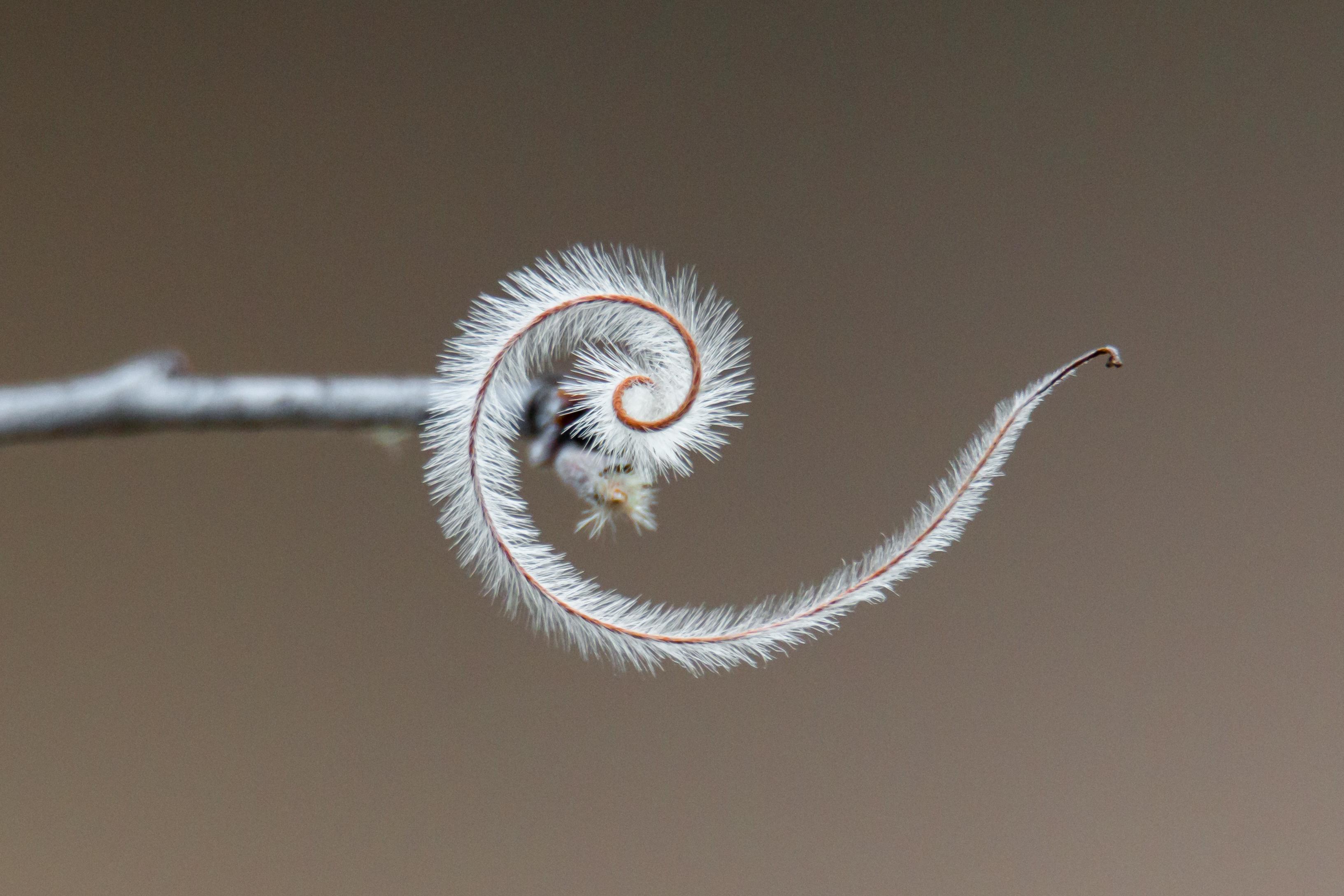 The Wedding Website of Aidan Goldie and Mariah Foley