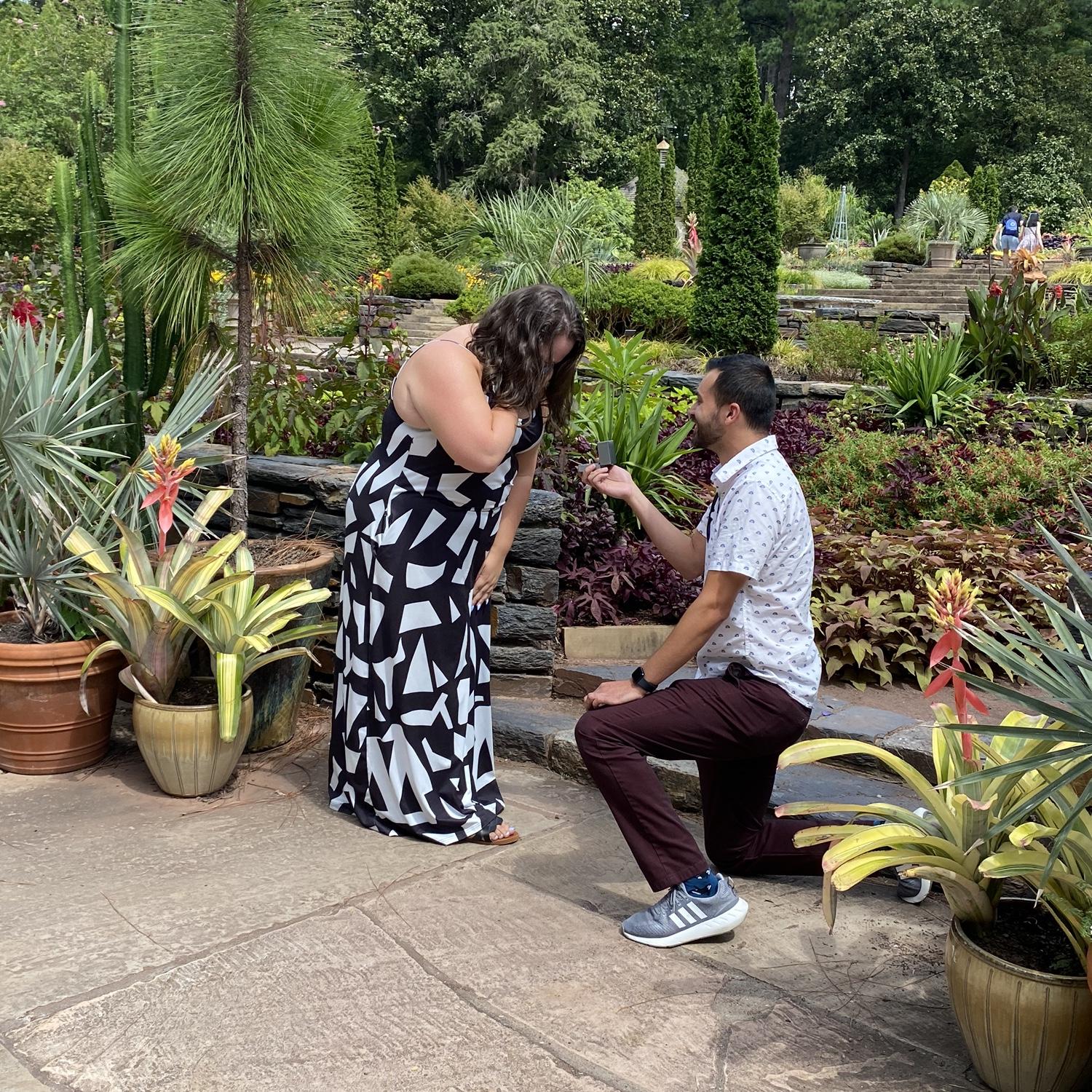 Duke Gardens, August 2024