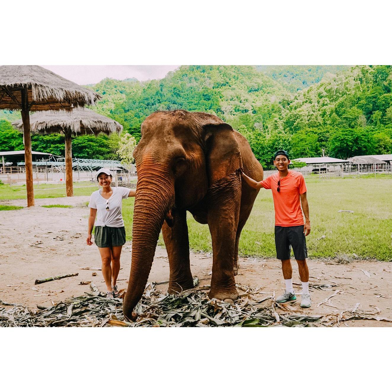 Chiang Mai, Thailand 2017