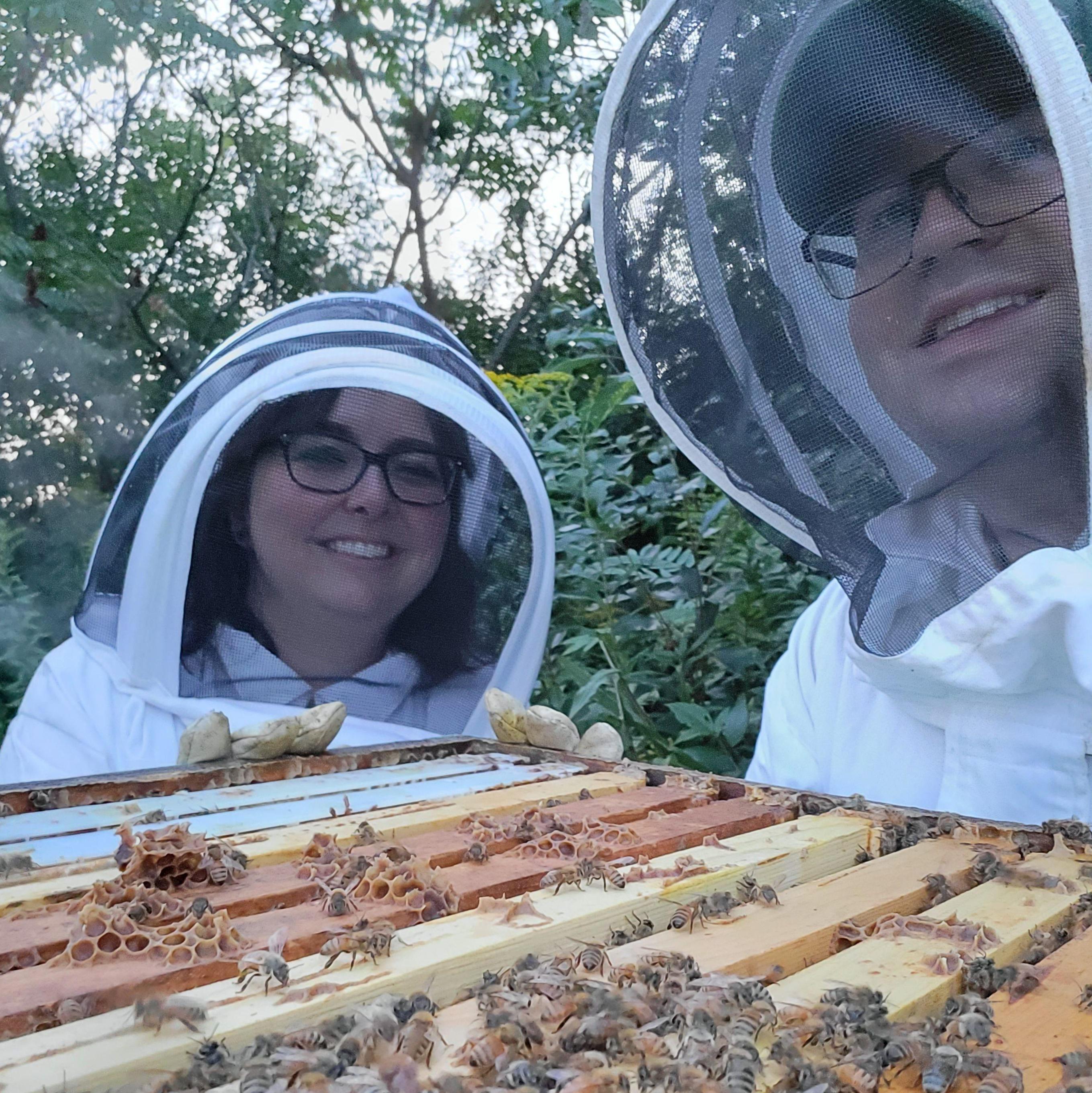 Fun at the beehives. August 2023.