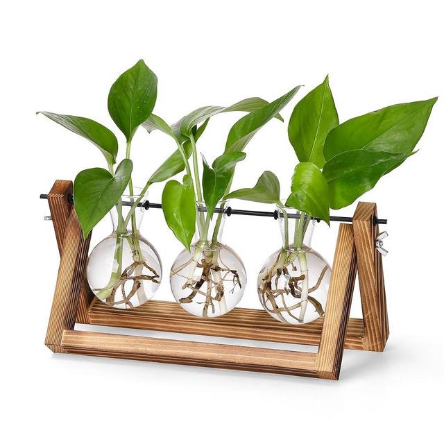 YIBOT Plants Propagation Stations,Desk Plant Terrarium with Retro Wooden Stand,Plant Lover Gifts for Women for Hydroponics Plants Home Garden Wedding Decor(3 Bulb Vase)