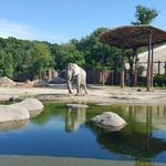 Cleveland Metroparks Zoo
