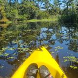 Bayou Castine