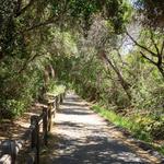 Ojai Valley Trail