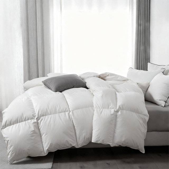 Dream Boat Feather Down Comforter Soft Egyptian Cotton Cover All Season Duvet Insert Queen