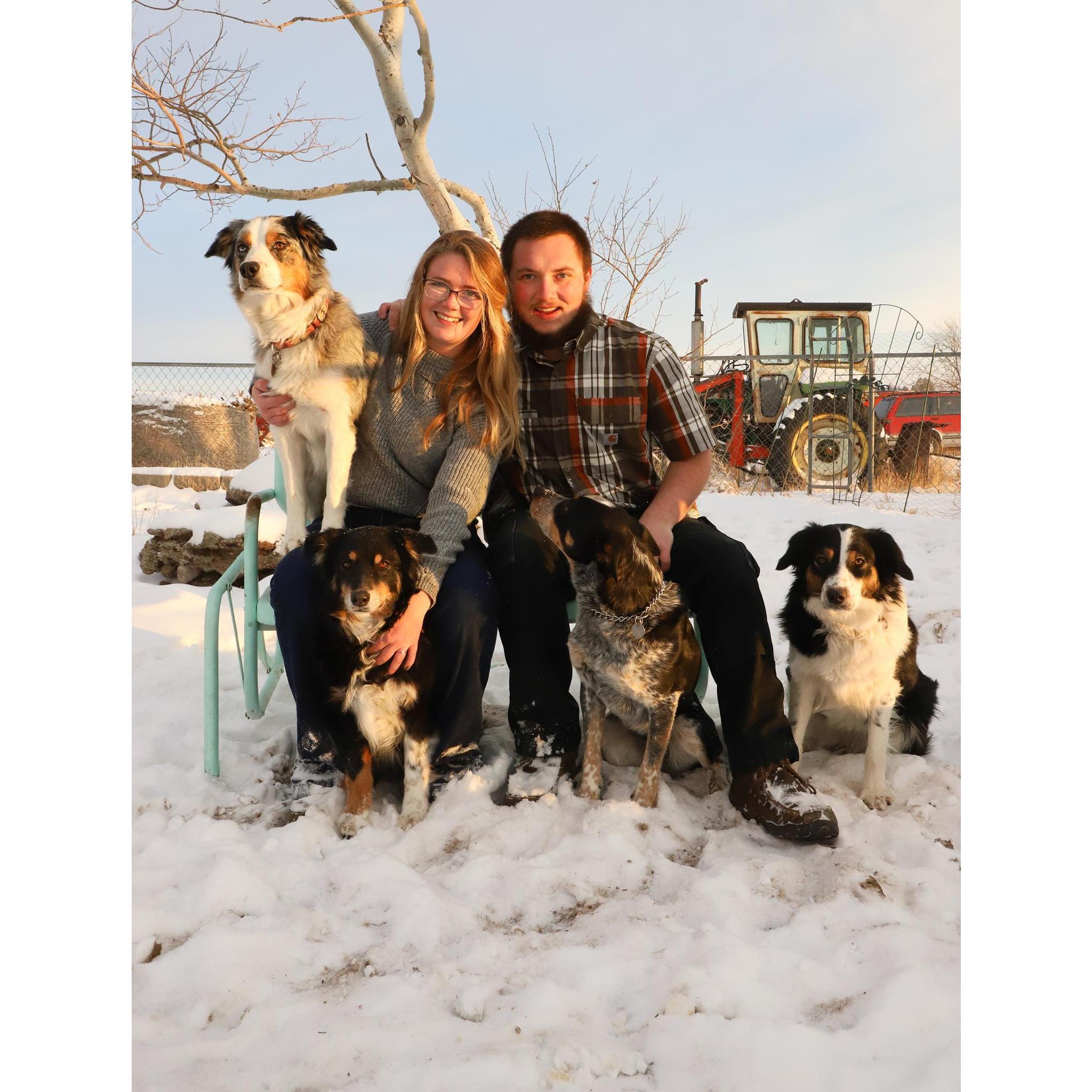 Its you, me and the dogs.