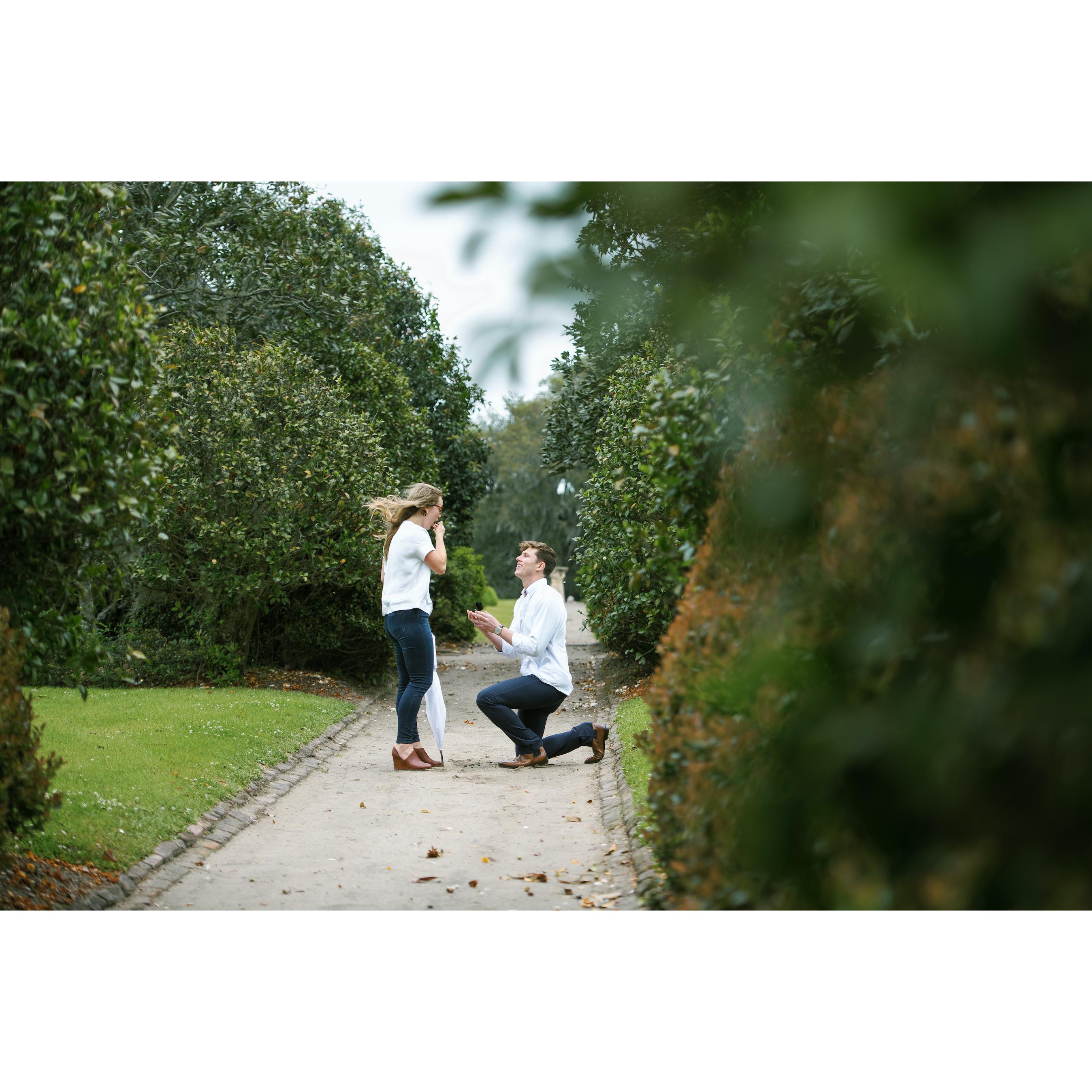 Proposing at Middleton Place, Charleston, South Carolina