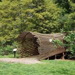 Tyler Arboretum