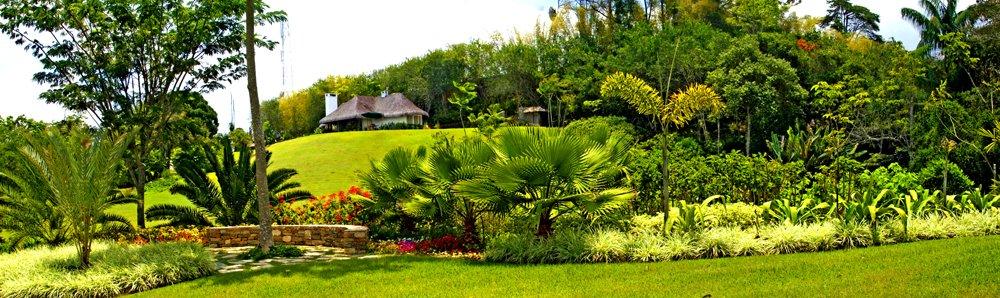 The Wedding Website of Jhonny Georges and Carla Carbonell