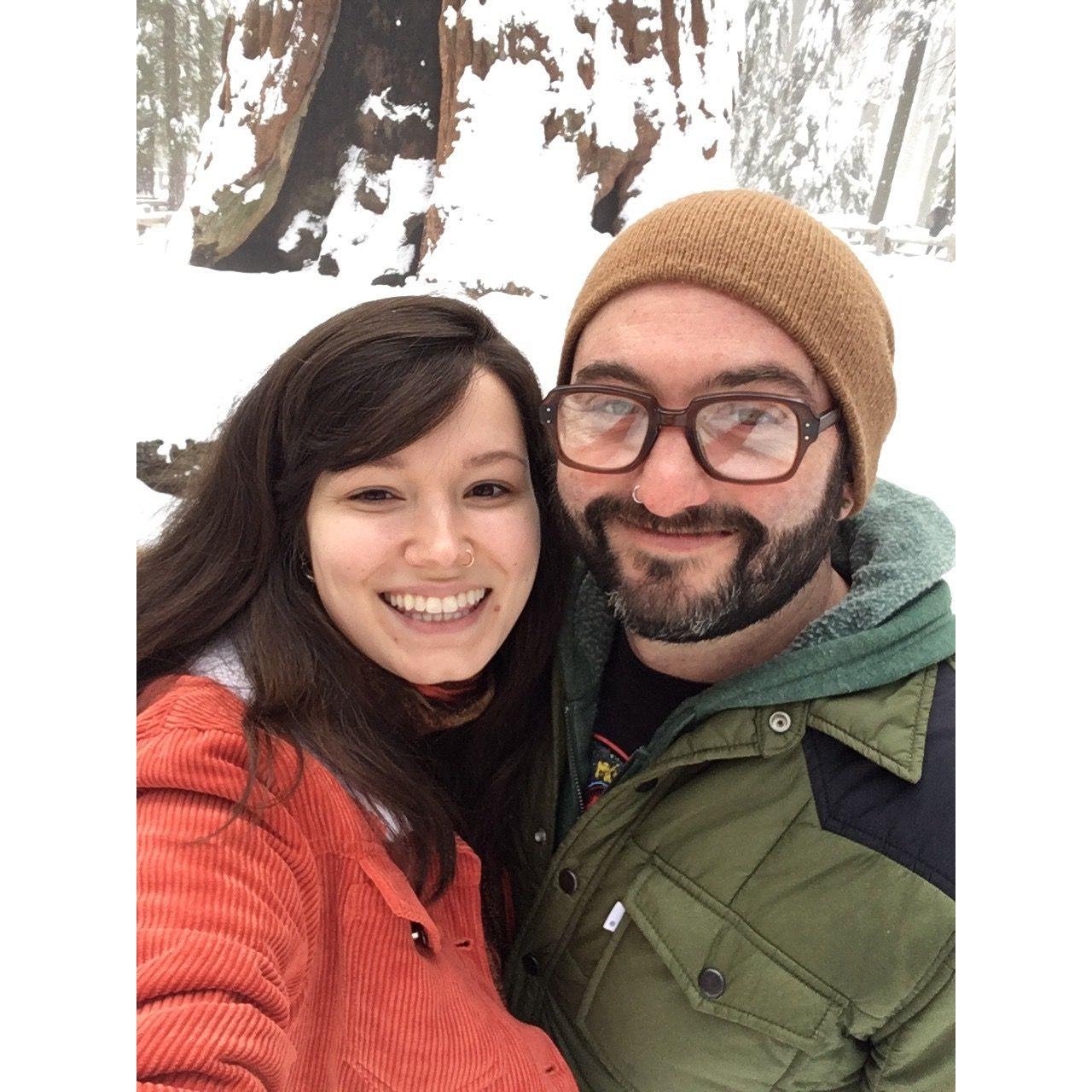 Visiting Sequoia National Park