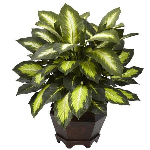 Nearly Natural 6720 inches Triple Golden Dieffenbachia with Wood Vase