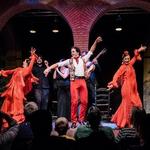 Flamenco Show
