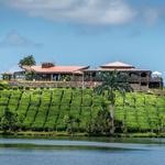 Bois Cheri Tea Factory