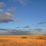 Spring Creek Prairie Audubon Center