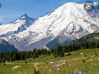 Day Trip: Mount Rainier
