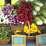Hamilton Farmers Market