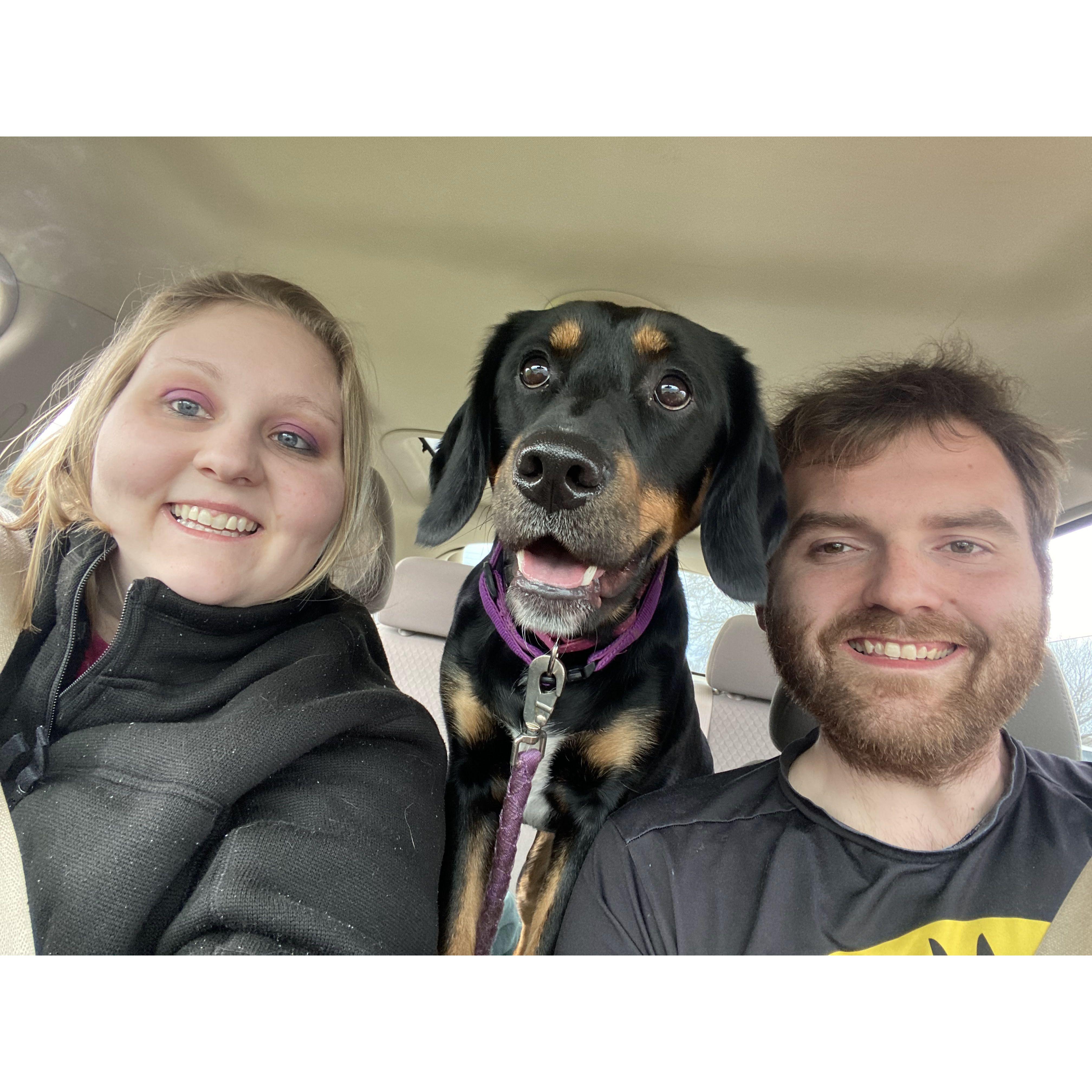 Our fur baby Holly. April 2022