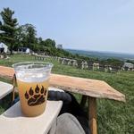 Bear Chase Brewing Company