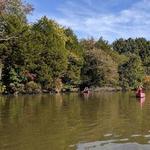 Blackbird Creek Reserve