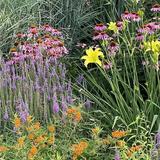 Olbrich Botanical Gardens