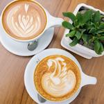 Lofty Coffee Company