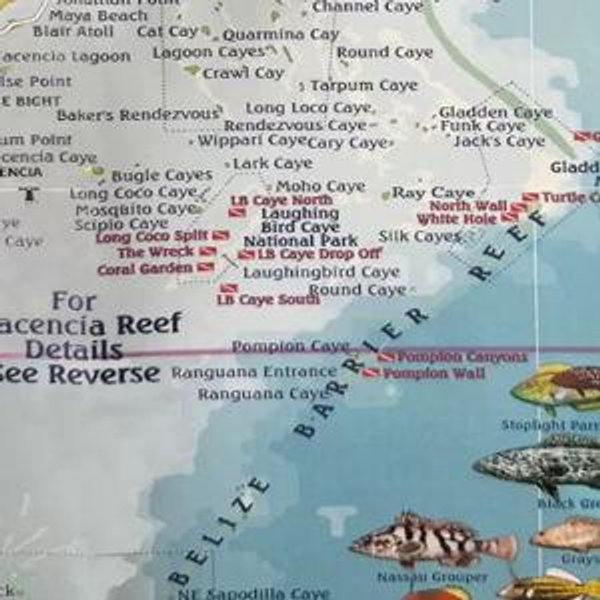 SCUBA Diving Belize, Barrier Reef!