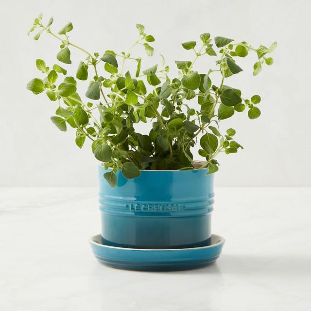 Le Creuset Herb Planter with Tray, Deep Teal