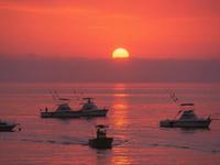 Hotel Palmas De Cortez Mexico Sportfishing Trips