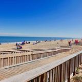 Cape Henlopen State Park