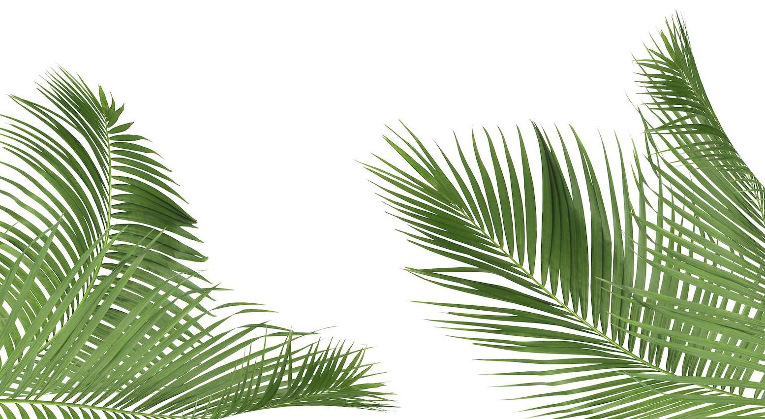 Footer image