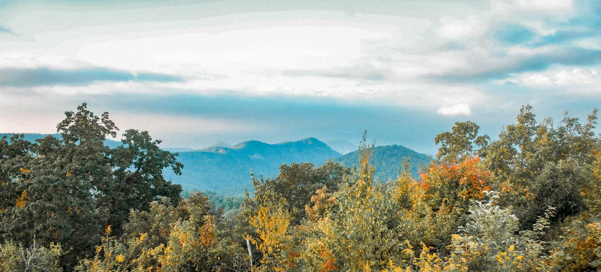 af220a2a-556d-4f1b-9e20-9426a2b005c6