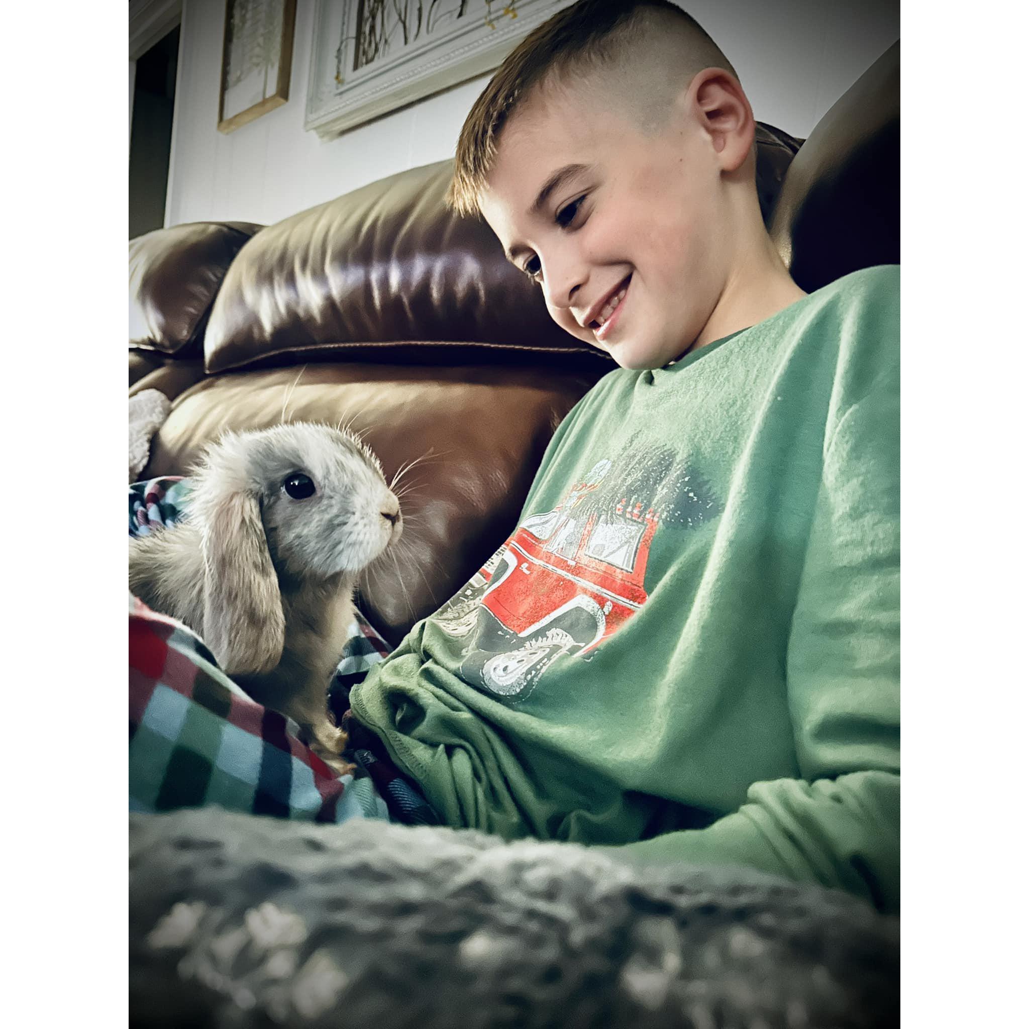 Early December 2023, Aaron and Kathryn welcomed their first pet together, Toast the rabbit. He is house trained and roams freely in their home with the dogs.