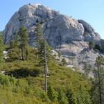 Favorite Shasta-Trinity Spots