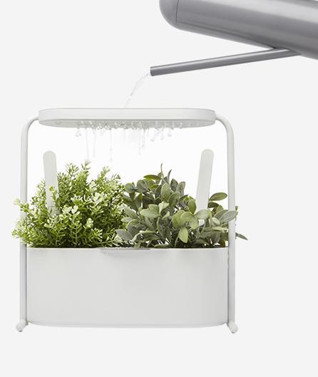 Giardino Herb + Plant Garden, Beam Brooklyn