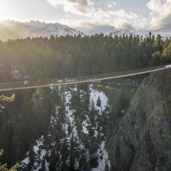 Golden, British Columbia Skybridge Tickets