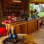 Angry Orchard
