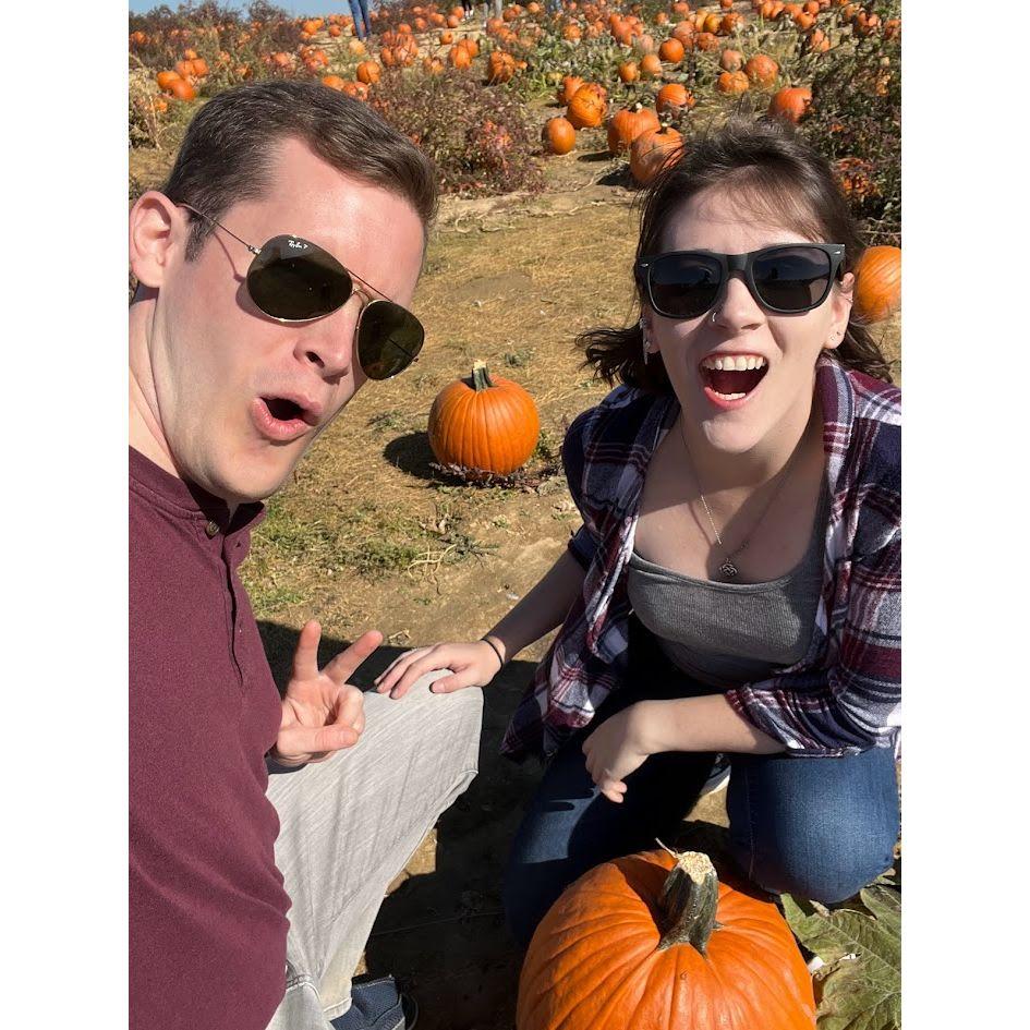 First pumpkin patch!