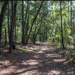 Ev-Henwood Nature Preserve