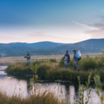 Fly Fishing at Devil's Thumb