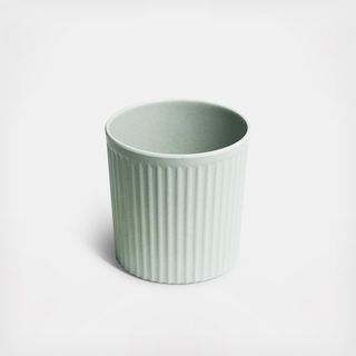Brush Cup