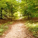 Alligator Hill Trail